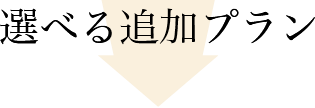 直選べる追加プラン
