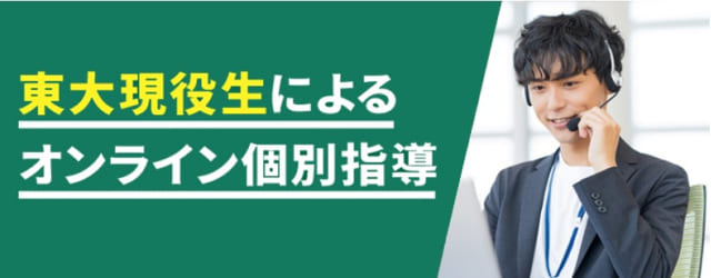 東大現役生によるオンライン個別指導