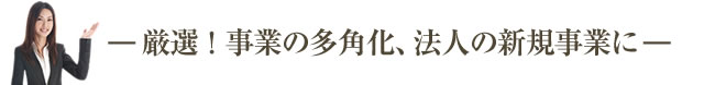 厳選！事業の多角化、法人の新規事業に
