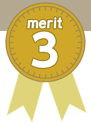 merit 3