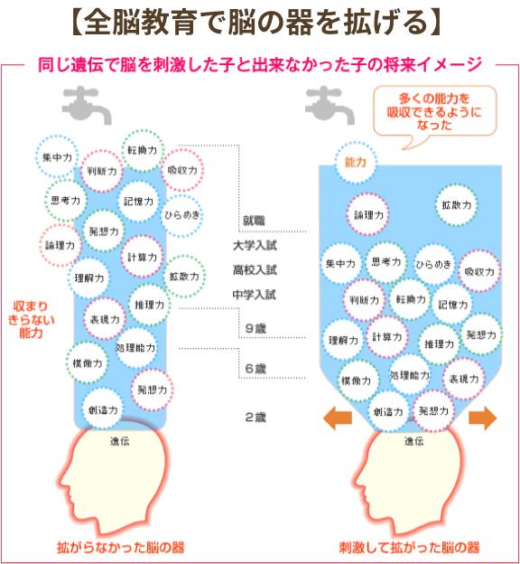 図：【全脳教育で脳の器を拡げる】（イメージ）