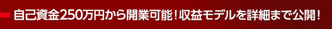 自己資金250万円から開業可能！収益モデルを詳細まで公開！